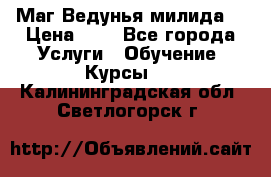 Маг Ведунья милида  › Цена ­ 1 - Все города Услуги » Обучение. Курсы   . Калининградская обл.,Светлогорск г.